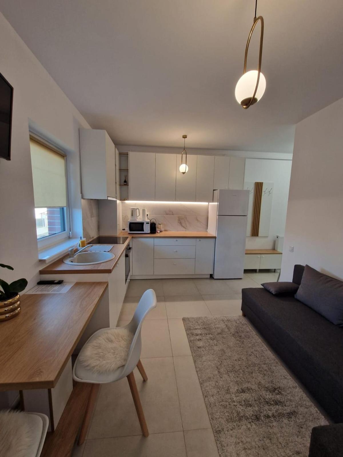 Cora Apartment Baia Mare Extérieur photo